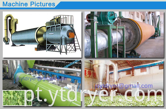 Plant Rotary Barrel Dryer